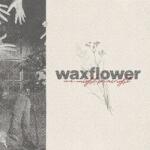 WAXFLOWER We Might Be Alright -ep-