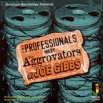 Professionals Meet The Aggrovators At