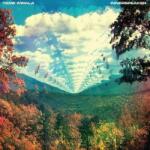 Tame Impala Innerspeaker. . -Annivers-