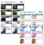 PD School School United 10 db