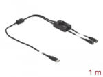 Delock USB Type-C apa - 2 db. DC 5, 5 x 2, 1 mm anya csatlakozójú kábel 1m (86800)