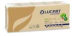 Lucart Eco Natural papír zsebkendő, 4 rétegű 10x9db barna (843166) (843166)