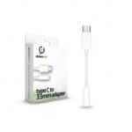 Dreamtech USB-C --> 3.5 Jack adapter (120574) (D120574)
