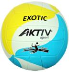 Aktivsport Röplabda Aktivsport EXOTIC fehér-kék-sárga méret: 5 (207300014) - s1sport