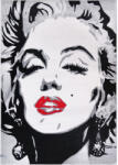 Kolibri Covor Marilyn Monroe 11608, 120x170 (2211698323151) Covor