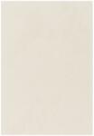 SKY Covor Belgian Sky din Microfibra, Lavabil, Fir moale, Crem (5415278412137) Covor