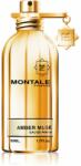 Montale Amber Musk EDP 50 ml