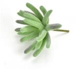  Pozsgás műnövény, mérete: 60x60x40 mm, szárral együtt a hossza: 70 mm