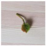  Pozsgás műnövény, bogyó mérete: 25x25 mm, szárral együtt a hossza: 65 mm