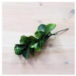  Hamvas-zöld babérmeggy, mérete: 14 cm (teljes hossza 17 cm)