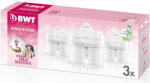 BWT FILTRE DE SCHIMB GOURMET Mg 2+ 3buc BWT