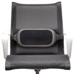 Fellowes Suport lombar Fellowes I-Spire gri (FELFERGBACKSUPISPG)