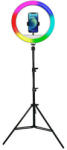 Powerton Inel de lumină Powerton LIFE, 13", reglare culoare și luminozitate, suport telefon și trepied, REDUCERE
