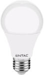Entac E27 LED izzó Globe 10W/ 60W NW 4000K 950lm