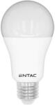 Entac E27 A65 LED Globe 15W/ 91W NW 4000K 1490lm (LLG27-15W-NW)