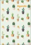 Dayliner Naptár, tervező, A5, heti, DAYLINER, Colors , Cactus (DL5AG-COFA5HE-CC) - kellekanyagonline
