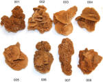  Trandafirul Desertului - Desert Rose Mineral Natural Brut 68-98 x 44-64 x 32-42 mm - ( XXL ) - 1 Buc