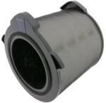 Patona Filtru BREEZE360 AEG AX9 AX91-604 Patona (PT-9716)