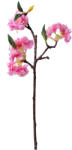 Clayre & Eef Set 3 crengute Flori Cires 16x8x38 cm (6PL0315)