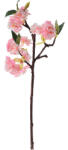 Clayre & Eef Set 3 crengute Flori Cires multicolor 16x8x38 cm (6PL0316)