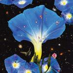 Louise, Sarah Nighttime Birds And - facethemusic - 4 890 Ft