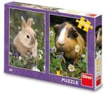 Dino Puzzle Dino Rabbit and the Guinea 2x48 de piese (381681) Puzzle