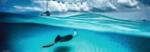 Heye - Puzzle Humboldt: Cayman Island - 1 000 piese
