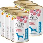 Dolina Noteci 4Vets Suport pentru pielea câinilor 6x400 g
