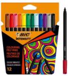 BIC Carioci Intensity BIC 2 mm 12 buc (BIC978004)
