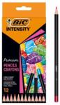 BIC Creioane color Intensity Premium lemn 3.3 mm 12 buc BIC (BIC9518441)