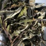 GourmetKava Ceai alb Bai Mu Dan / Peony alb 50g Specialty Tea