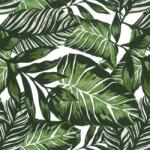 Venilia Decor Autocolant decorativ Plante exotice