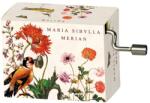 Fridolin Flasneta Maria Sibylla Meriann Vivaldi Spring (Fr_58562)