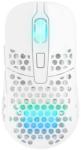 Xtrfy LS-M42-WHITE Mouse