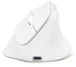 Bluestork M-WL-ERGO-LUMI-W Mouse