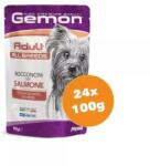 Gemon Dog alutasak Adult Lazac 24x100g - grandopet