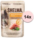 Shelma Shelma Cat Capsule de pui-paradise-ierburi în sos 14 x 85 g