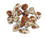 Granat Orange in Wollastonit Mineral Natural Rulat - 20-25 x 15-20 mm - ( M ) - 1 Buc