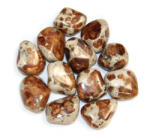  Granat Orange in Wollastonit Mineral Natural Rulat - 27-31 x 23-27 mm - ( L ) - 1 Buc