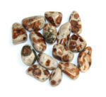  Granat Orange in Wollastonit Mineral Natural Rulat - 25-30 x 17-23 mm - ( M ) - 1 Buc