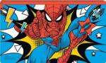  Marvel Pókember Gyerek Neszesszer, tolltartó cipzáras