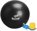 ARMAGEDDON Gymnastic Ball With a Pump 85 cm / Гимнастическа Топка с Помпа 85 см Черен