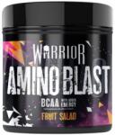 Warrior Amino Blast | with Added Energy [270 грама] Ягода и Киви