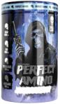 SKULL LABS Perfect Amino / EAA Complex [450 грама] Dragon Fruit