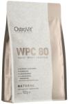 OstroVit Whey Protein | 100% Whey Protein Concentrate [700 грама] Неовкусен