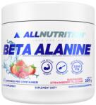 ALLNUTRITION Beta-Alanine Endurance MAX [250 грама] Неовкусен