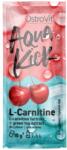 OstroVit Aqua Kick / Advanced Hydration with L-Carnitine & Green Tea [10 грама] Череша