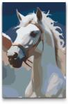  Festés számok szerint - Fehér pegazus a felhőkben Méret: 20x30cm, Keretezés: Kartonlemezen