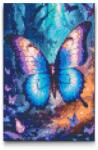  Gyémántszemes kirakó - Mágikus pillangó Méret: 20x30cm, Keretezés: Műanyagtáblával, Gyémántok: Kerek