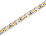 Avide 24W 6400K IP20 120LED/m 12V LED szalag Avide (AVI ABLS12V2835 120CW20)